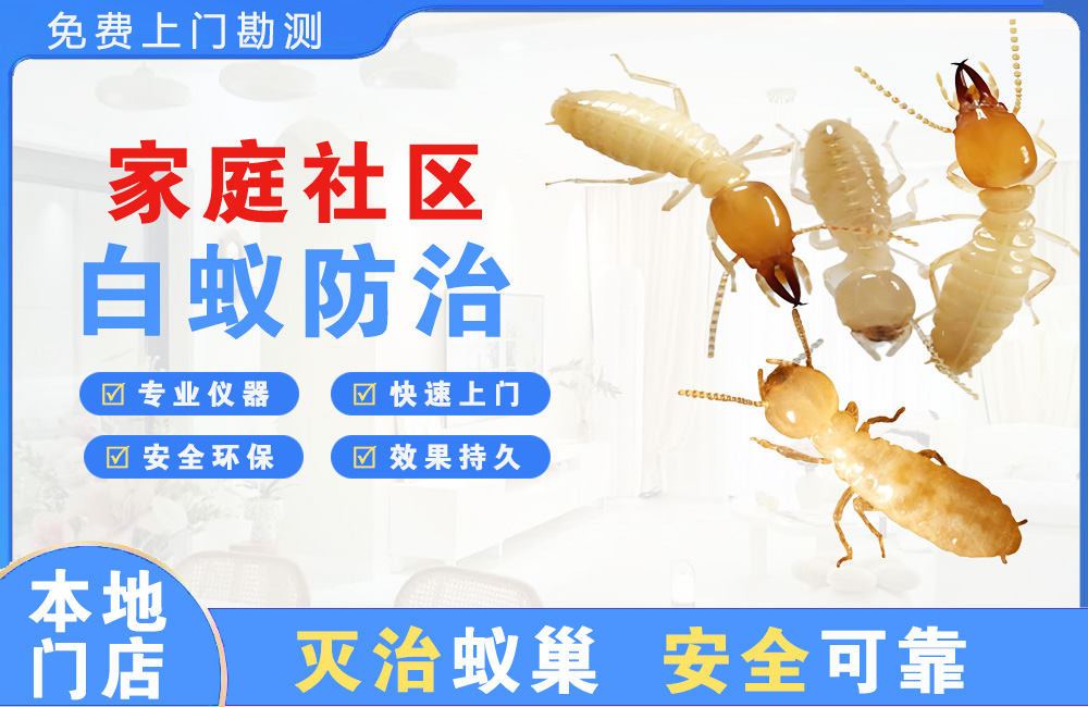 天河家庭社区白蚁防治