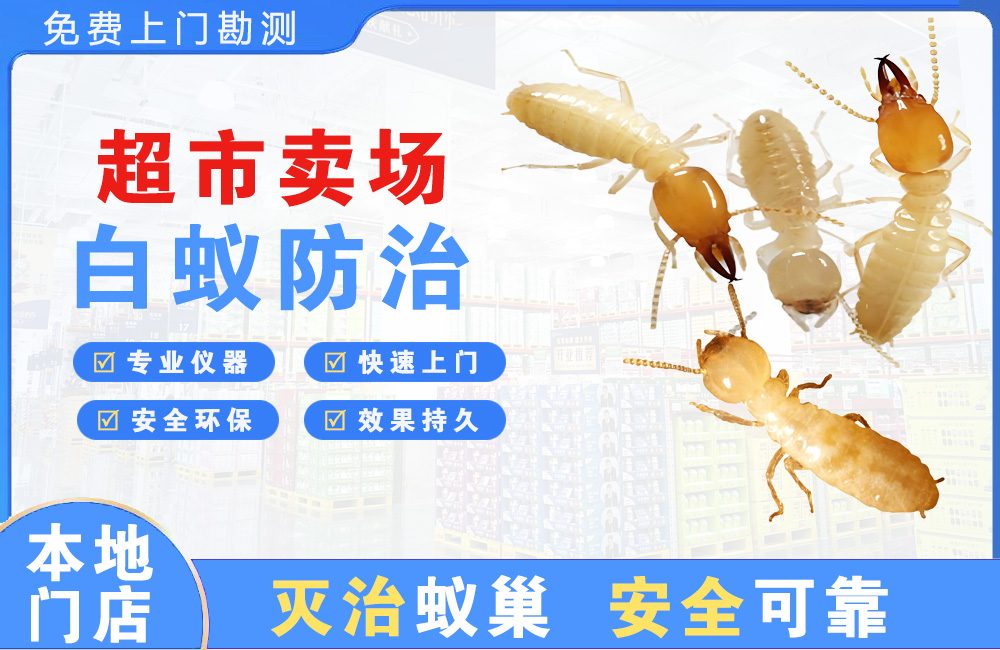 天河超市卖场白蚁防治