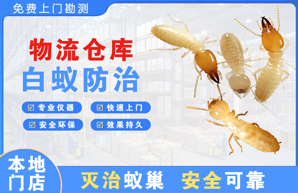 天河物流仓库白蚁防治
