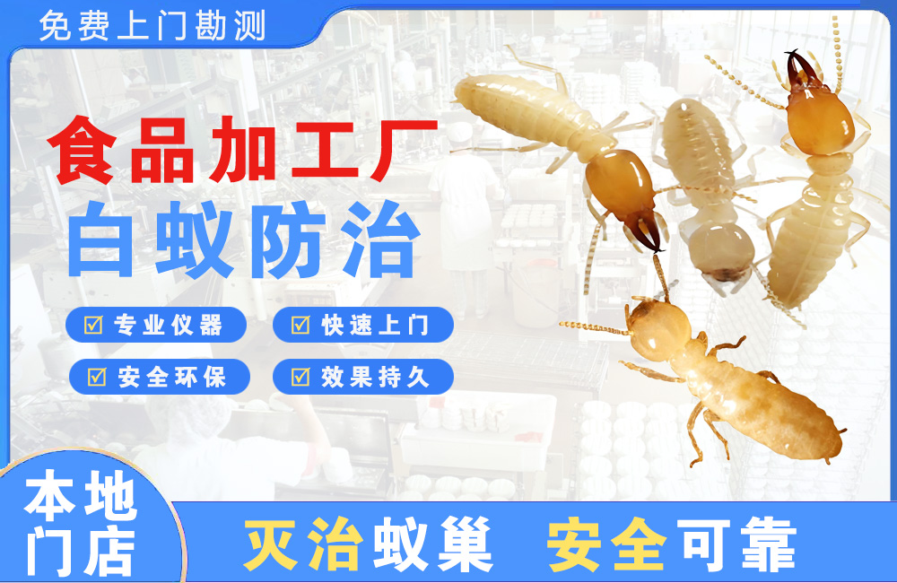 天河食品加工厂白蚁防治