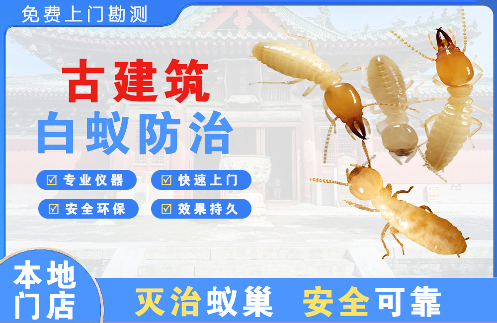 天河古建筑白蚁防治