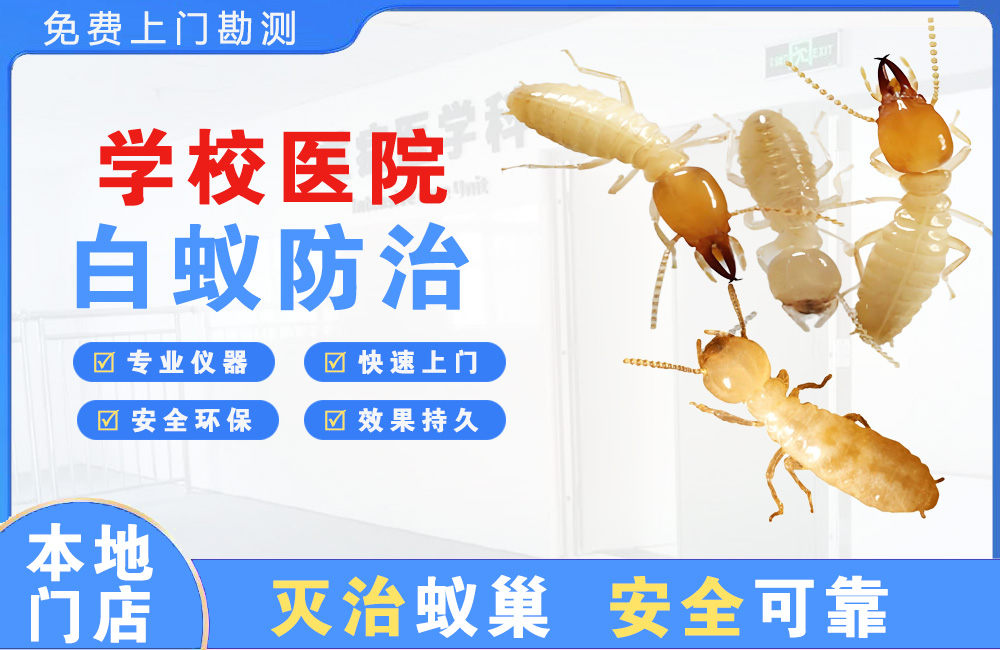 天河学校医院白蚁防治
