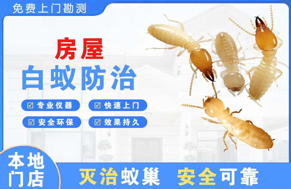 天河房屋白蚁防治