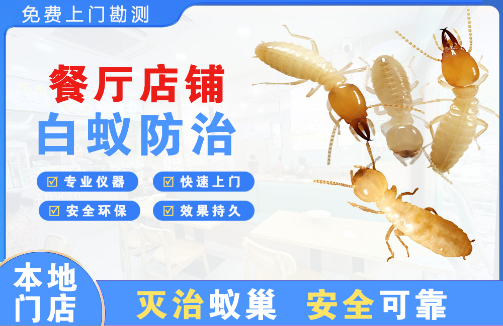 天河餐厅店铺白蚁防治